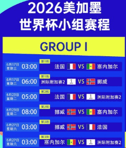2026年世界杯赛事数据